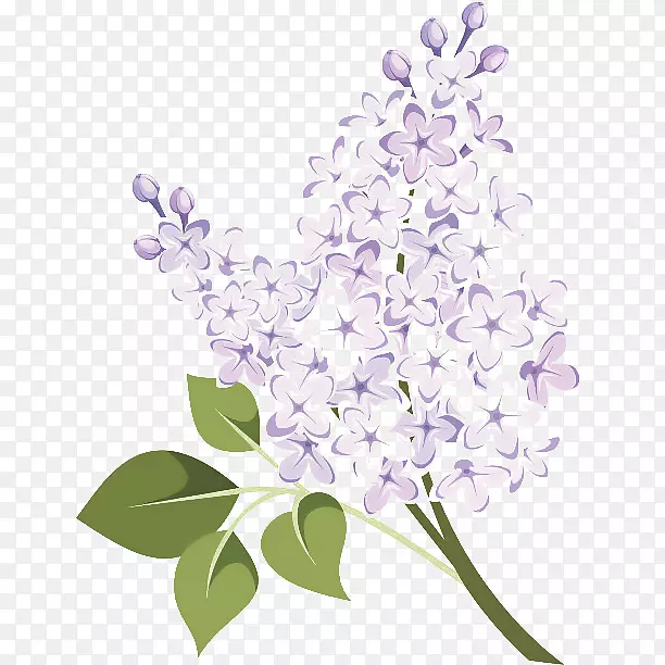 手绘一束紫色丁香花时尚插画PNG