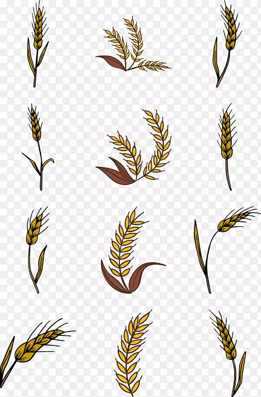 秋季金黄色手绘收货小麦仁麦穗矢