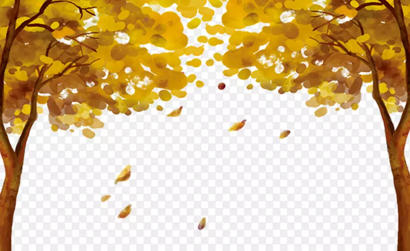 秋天黄色树木落叶