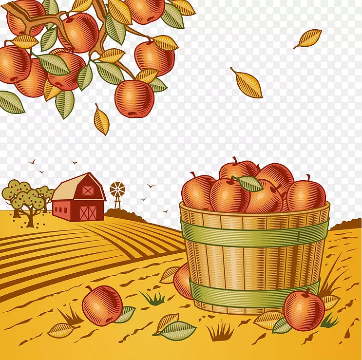 秋季丰收的果子