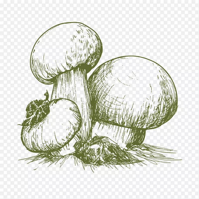 手绘素描蘑菇设计