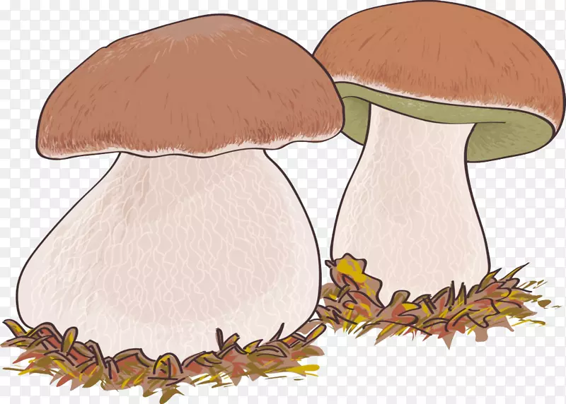 卡通手绘香菇