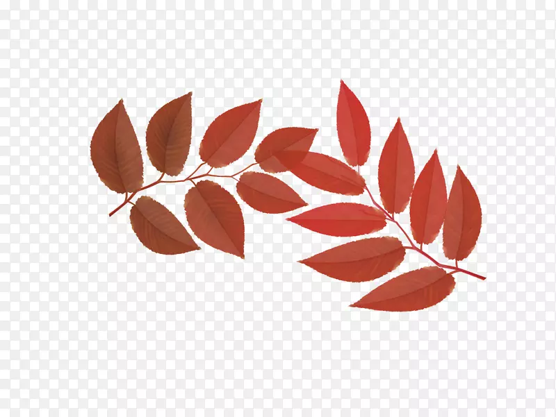落叶红于丰收的季节.