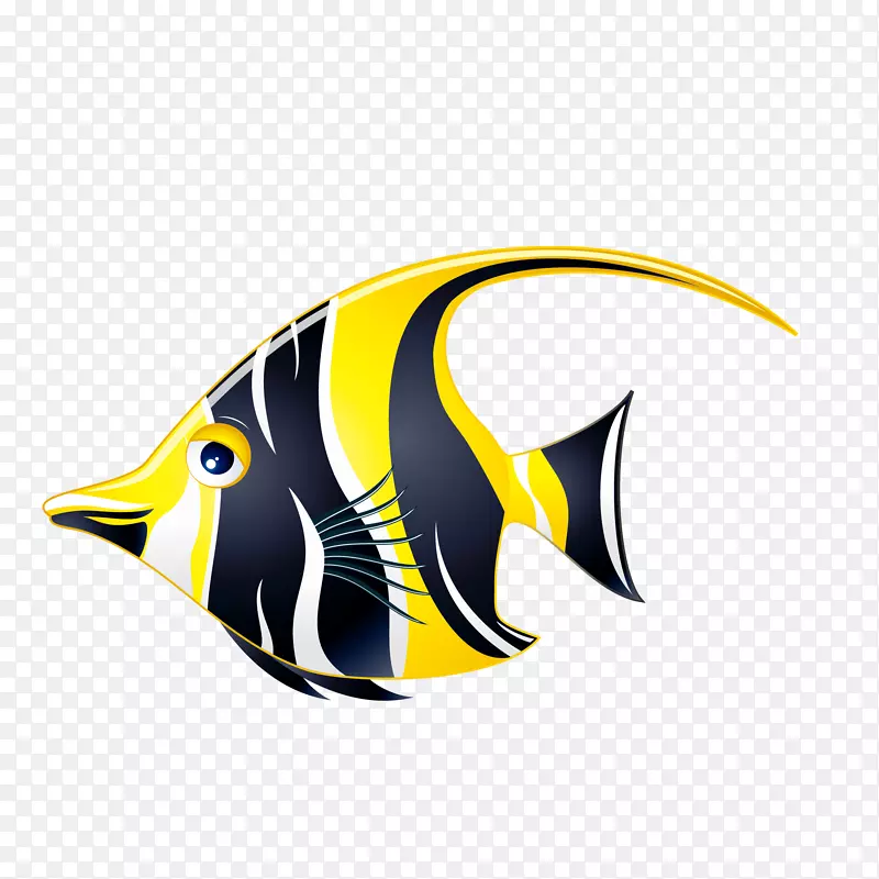 黄色线条花纹鱼类