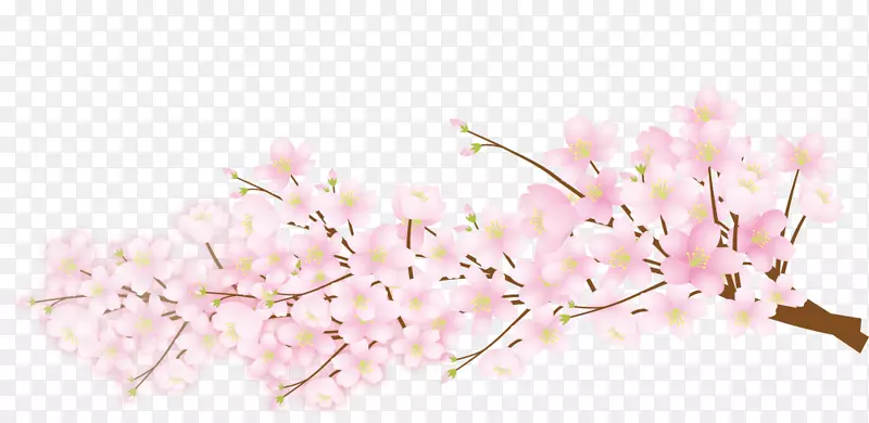 春暖花开桃花朵朵开