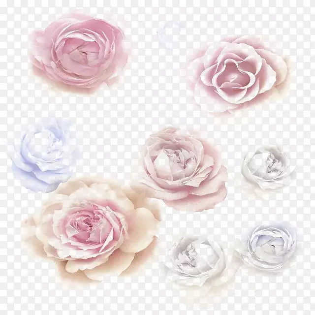 八朵玫瑰花