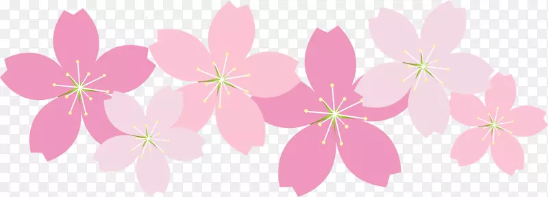 春天粉色美丽喇叭花