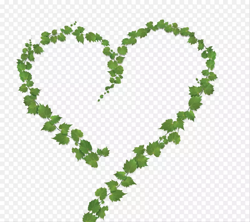 绿叶堆积心形爱情
