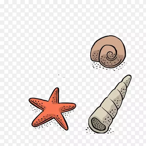 卡通手绘海星海螺