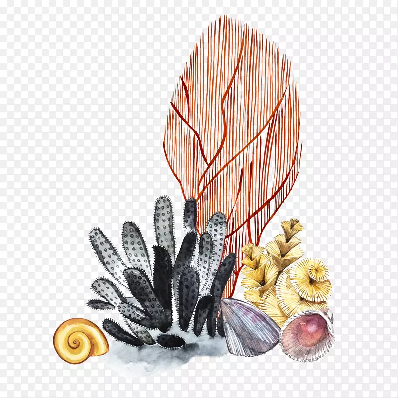 卡通手绘珊瑚海螺