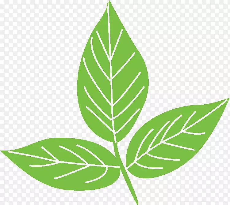 漂浮的叶子
