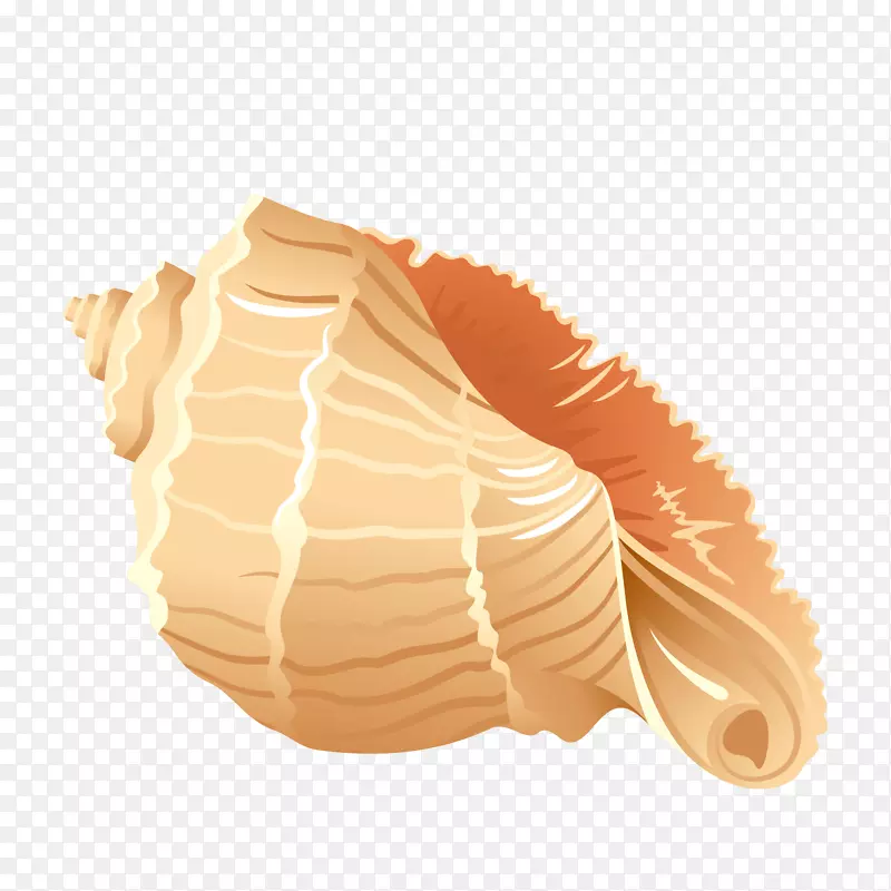 一只手绘的海螺效果图