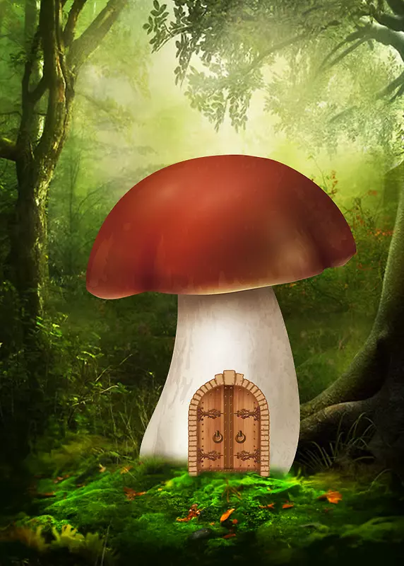 梦幻森林蘑菇屋