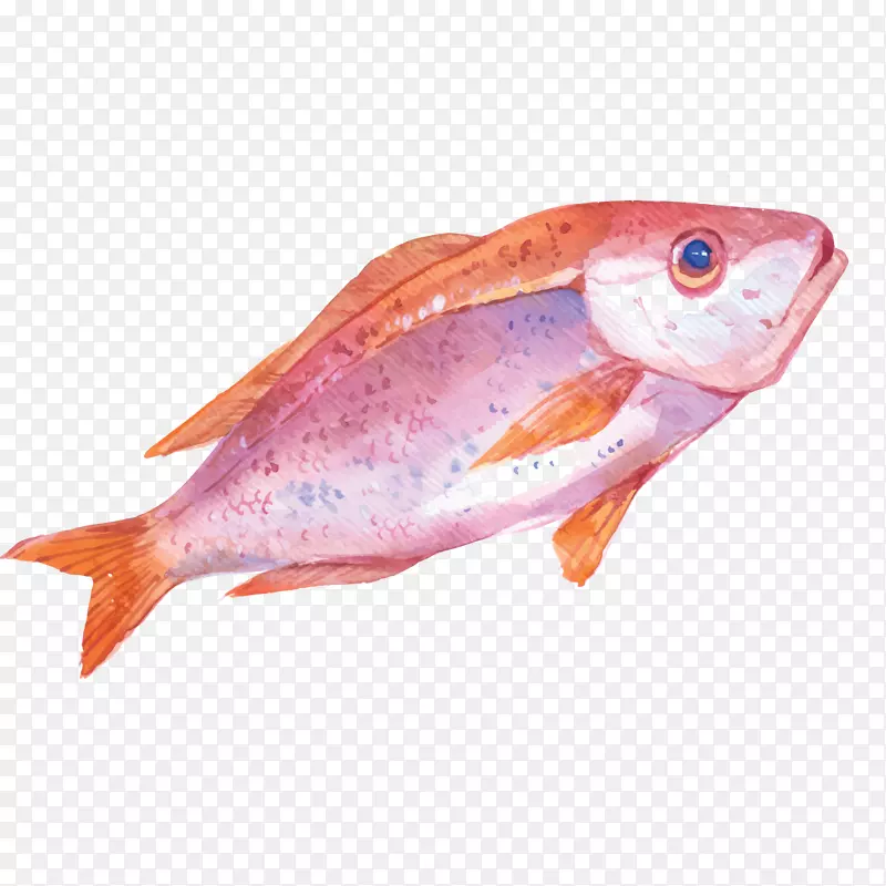 红色绘画鱼类图案设计