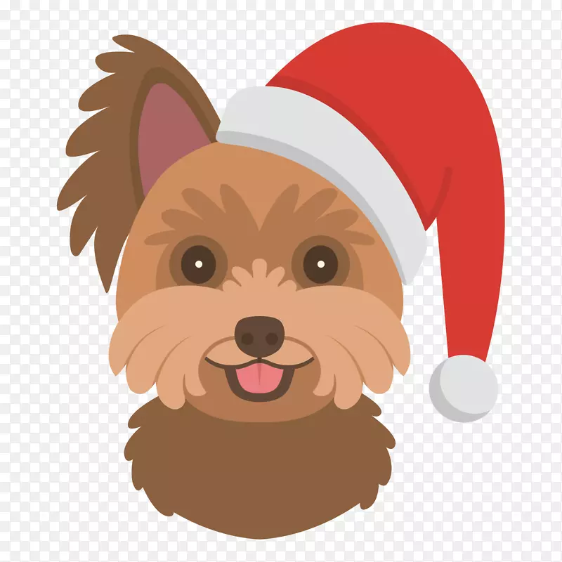 戴着红色圣诞帽的小狗