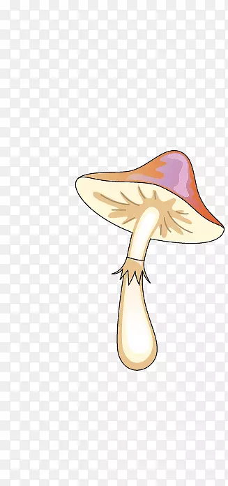 大伞蘑菇