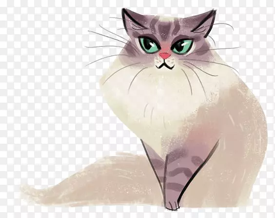 猫咪