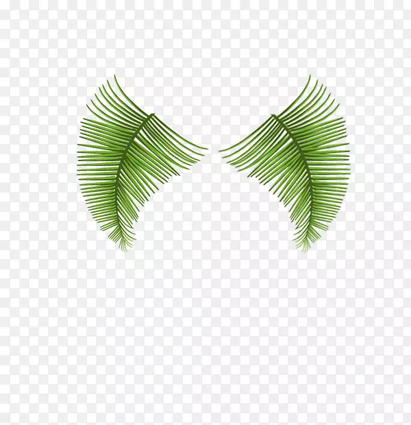 椰树叶子装饰图案免抠素材