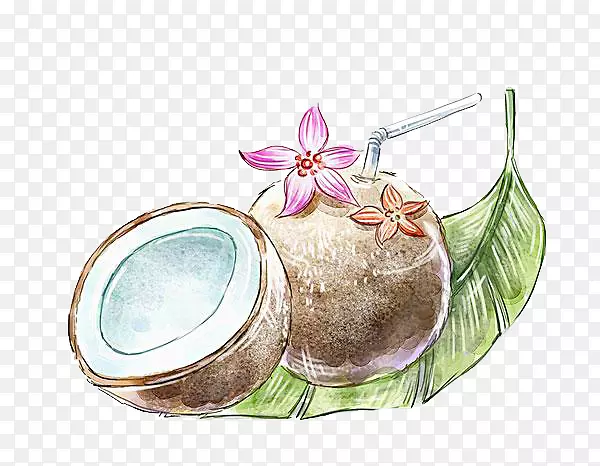 手绘椰子汁