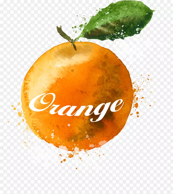 手绘黄色橘子