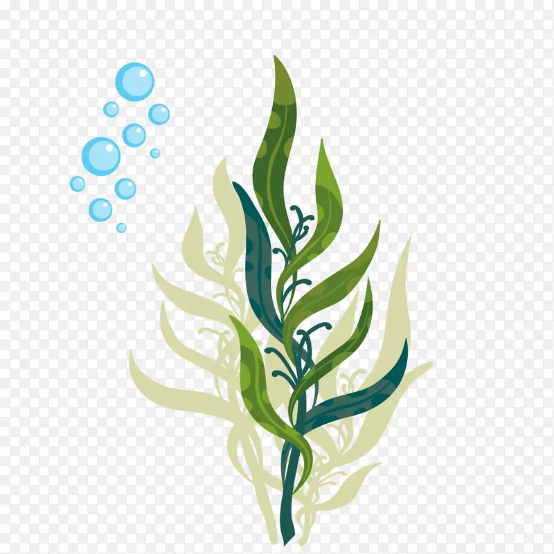 绿色海草植物泡泡