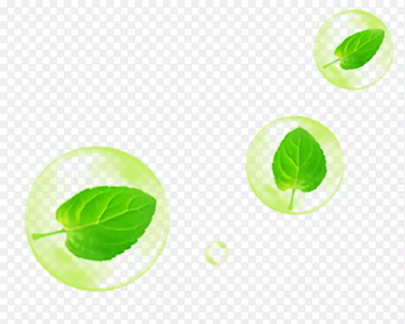 绿叶泡泡装饰图案png素材
