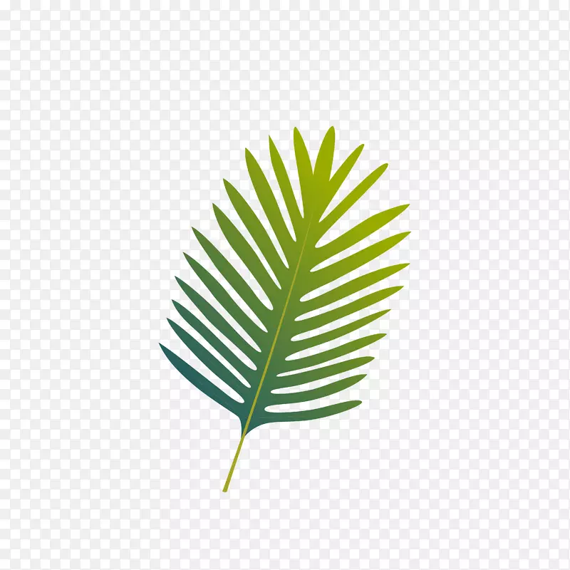 水彩棕榈叶叶子设计图