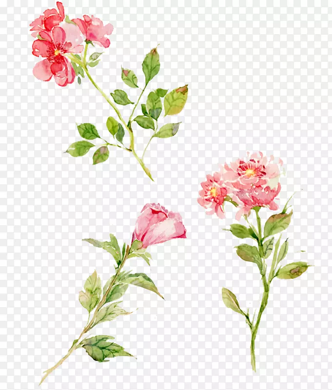手绘小清新粉红色鲜花