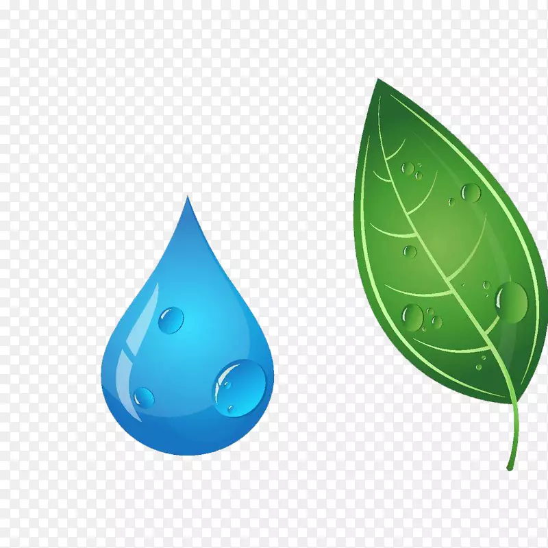 小清新绿色的安全水源和树叶PS