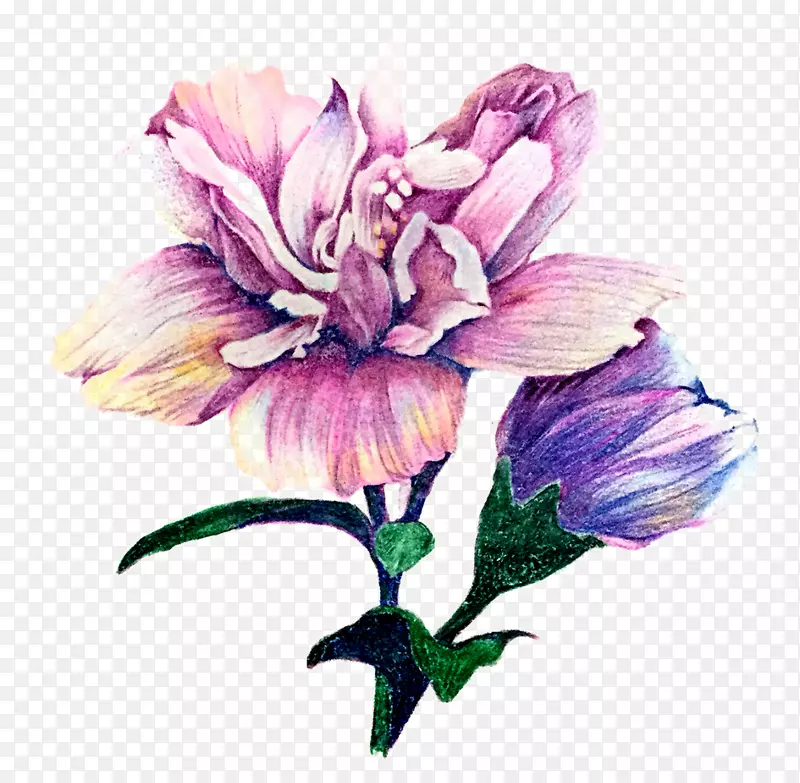 卡通手绘紫色花卉PNG