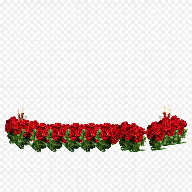 一排玫瑰花盆栽