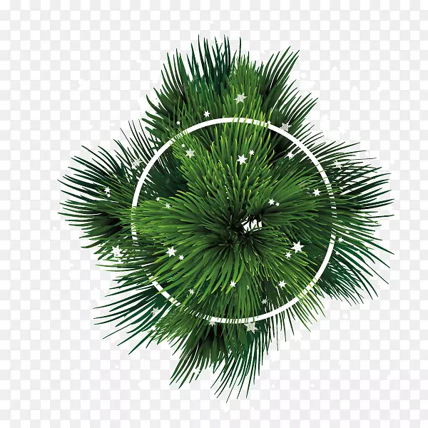 文案背景元素  圆环  树 圣诞树