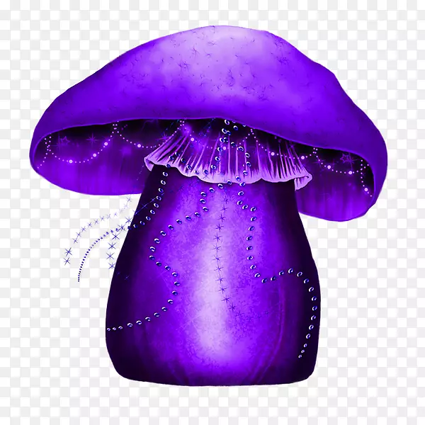 蓝紫色蘑菇