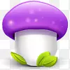 紫色的蘑菇蘑菇Mushrooms-icon-set