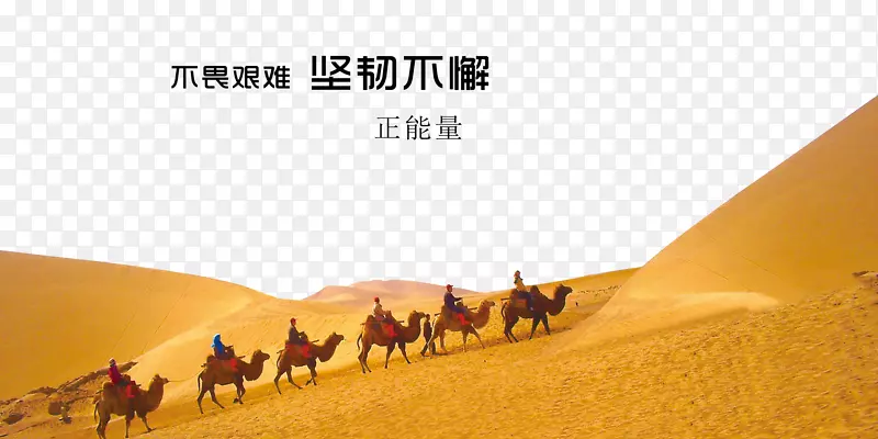 沙漠骆驼banner素材