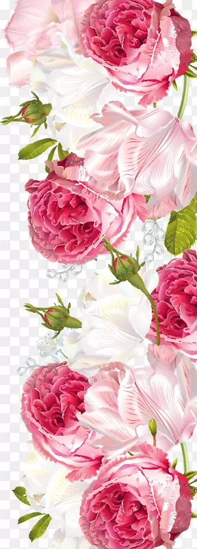 手绘粉色花朵边框