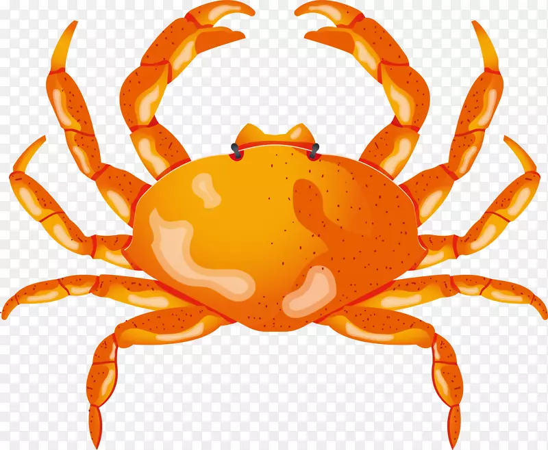 世界海洋日橙色螃蟹
