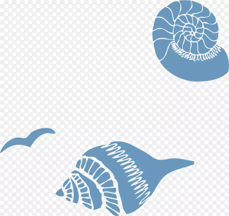 海洋生物蓝色海螺