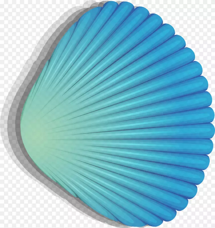 海洋生物蓝绿贝壳