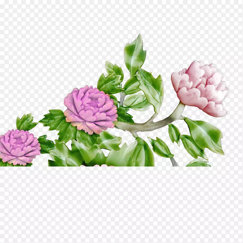 牡丹