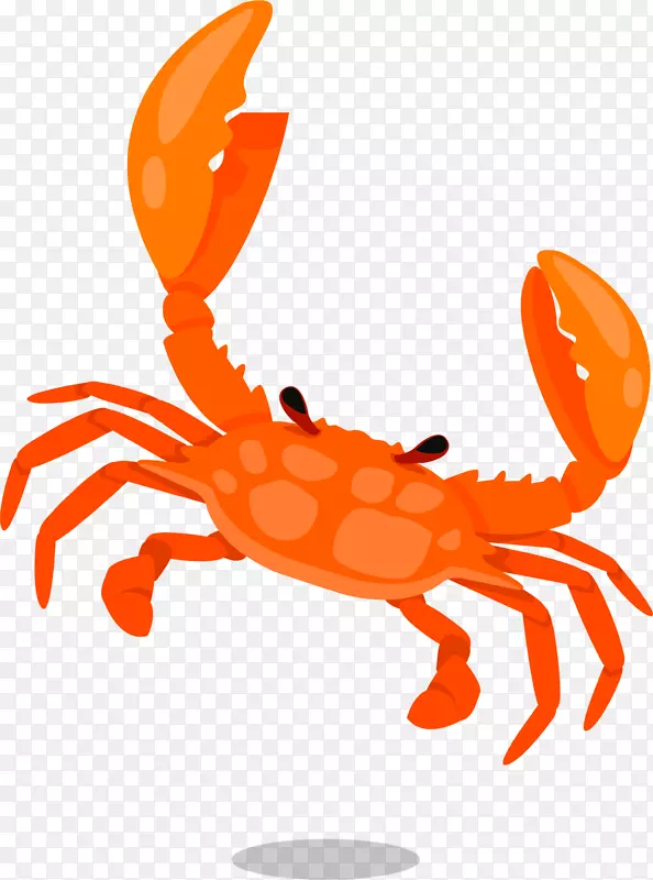 海洋生物橙色螃蟹