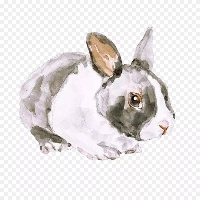 手绘的小兔子