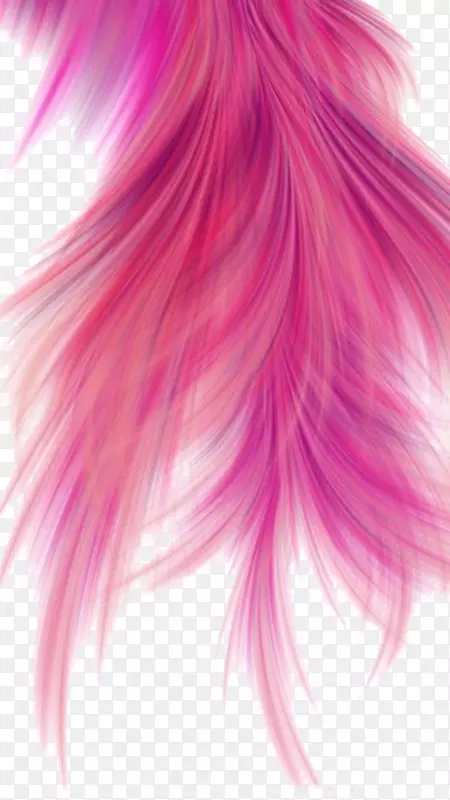 粉色羽毛免扣元素