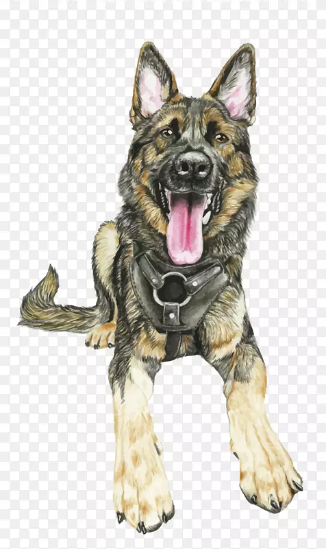 矢量狼犬