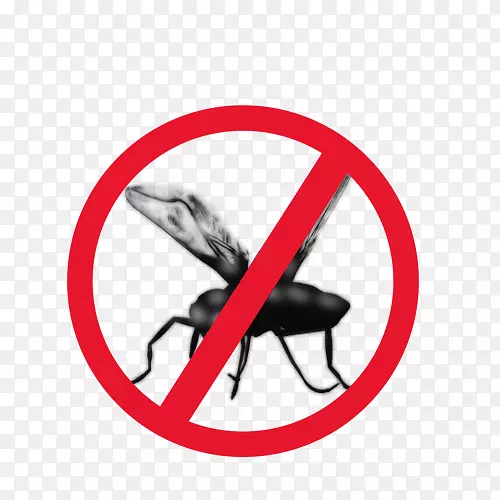 禁令禁止苍蝇虫子