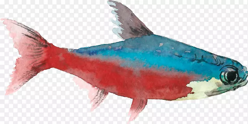 手绘水彩的鱼儿免抠图