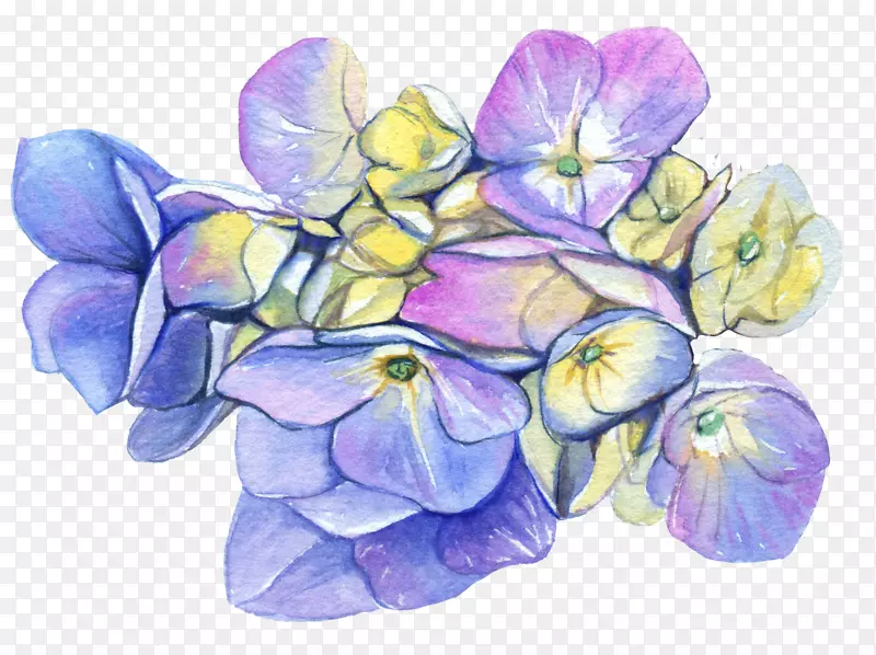 手绘蓝色绣球花朵花瓣