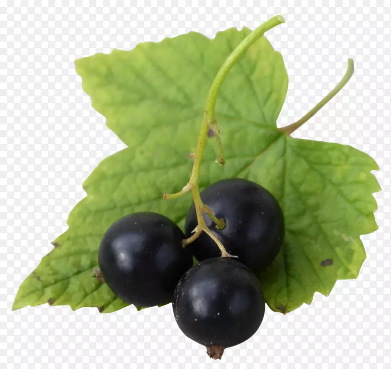 新鲜的夏黑葡萄免抠素材