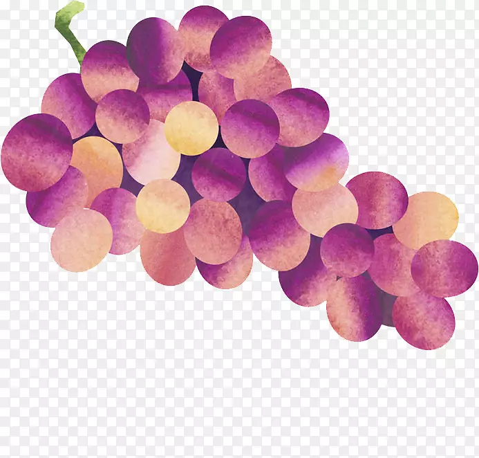 一串新鲜的大葡萄