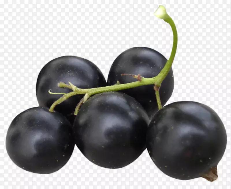 可口的夏黑葡萄免抠素材